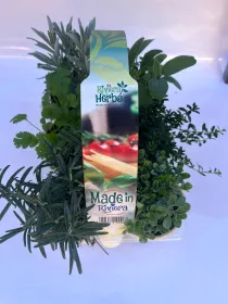 Made in riviera x 6 V. 9 cm - Riviera Quality Societa' Agricola Cooperativa