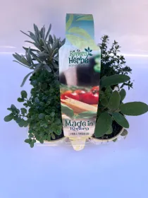 Made in riviera x4 V. 9 cm - Riviera Quality Societa' Agricola Cooperativa