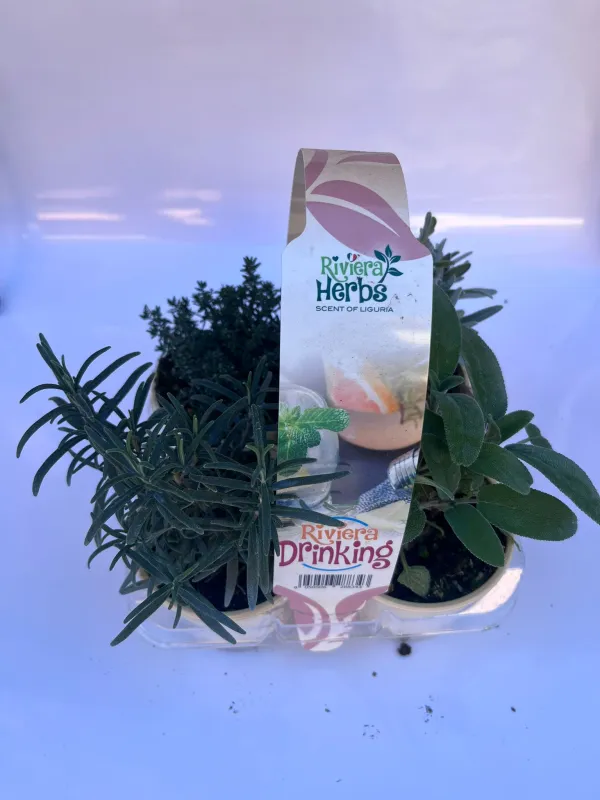 Riviera drinking pack da 4 V. 9 cm - Riviera Quality Societa' Agricola Cooperativa