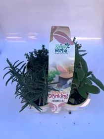 Riviera drinking pack da 4 V. 9 cm - Riviera Quality Societa' Agricola Cooperativa